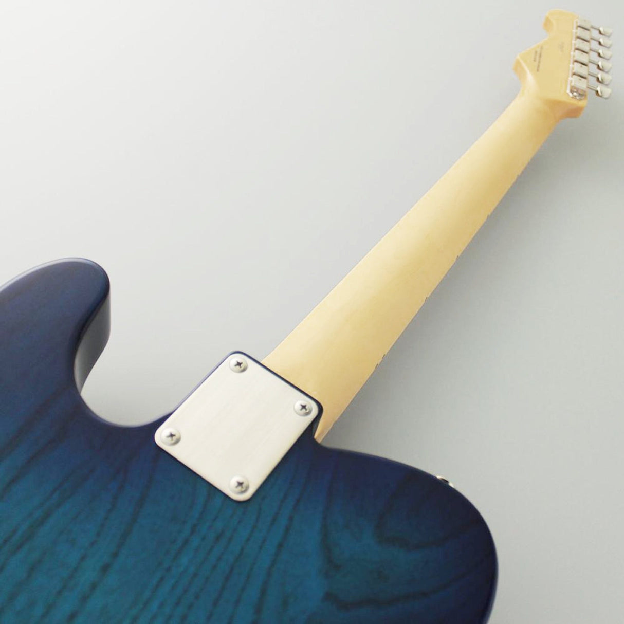 FGN Neo Classic TE100 elektrische gitaar See-Thru Blue Burst incl. gigbag