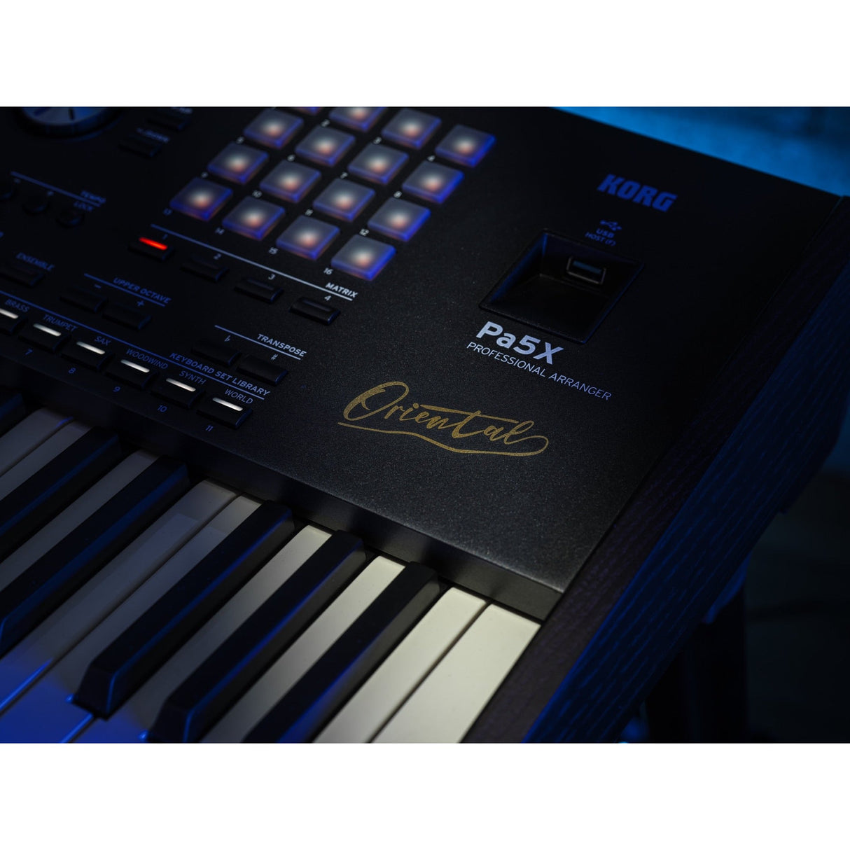 Korg Pa5X 76 ORIENTAL Arranger Keyboard met Aftertouch en Oosterse Sounds
