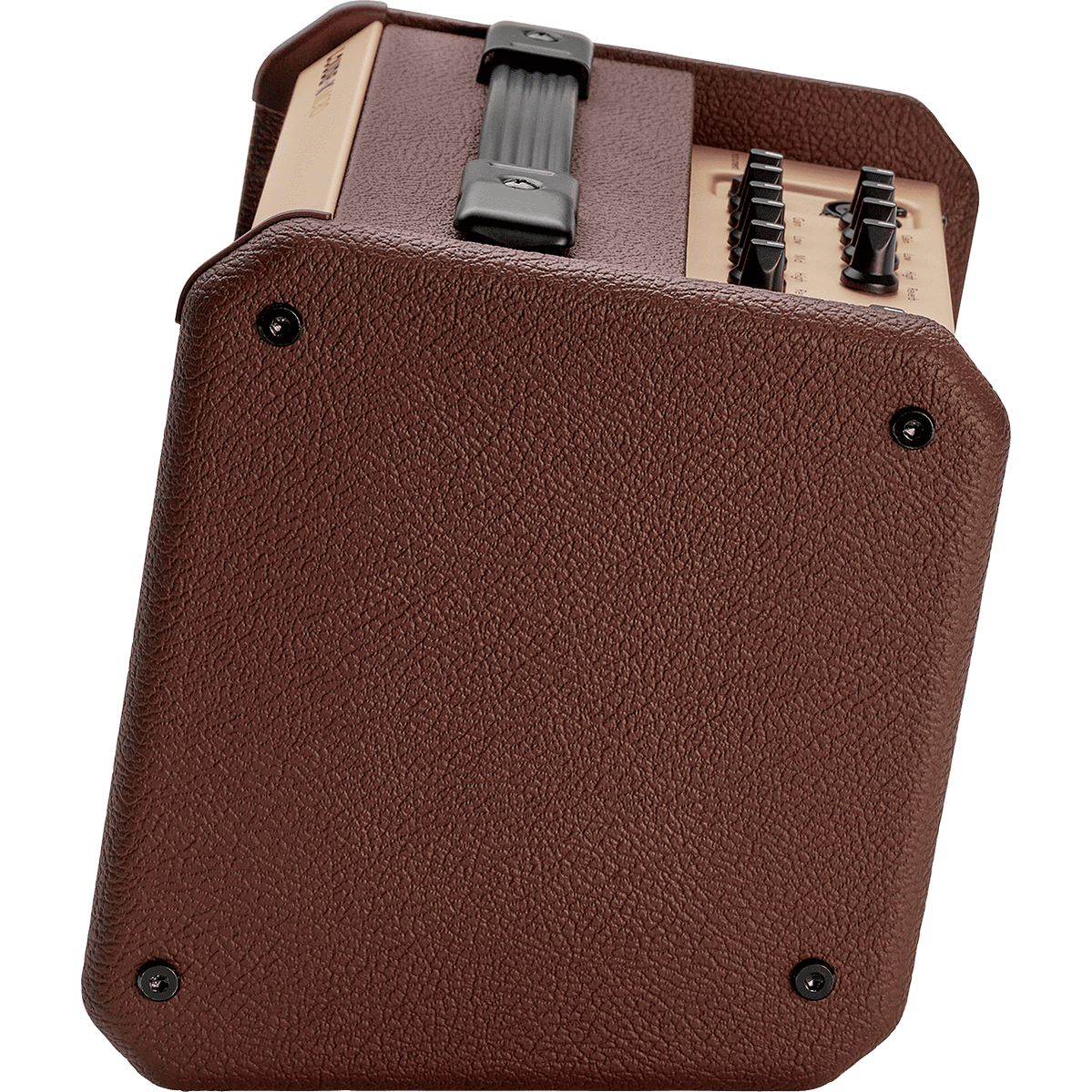 Fishman Loudbox Micro PRO-LBT-400 Akoestische Gitaarversterker - 40W