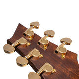 Cort Luxe II Frank Gambale Signature – Massieve Adirondack Top, Flamed Blackwood & Fishman Flex Blend