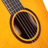 Cort Luxe II Frank Gambale Signature – Massieve Adirondack Top, Flamed Blackwood & Fishman Flex Blend