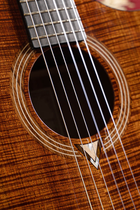 Cort Luxe Nylon Frank Gambale Signature – Massief Blackwood, Nylon Snaren & Fishman Flex Blend