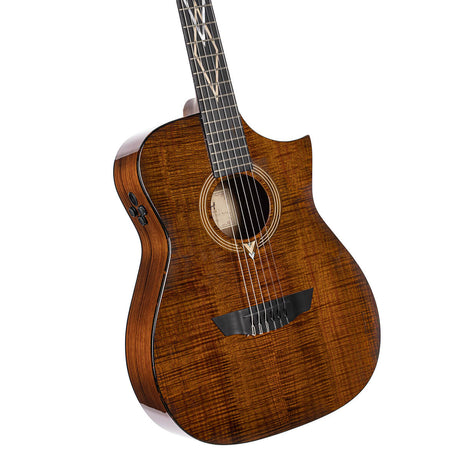 Cort Luxe Nylon Frank Gambale Signature – Massief Blackwood, Nylon Snaren & Fishman Flex Blend