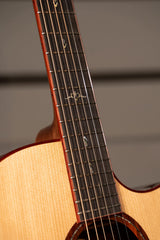 Cort Gold-A10 Cocobolo – Massief AAA Cocobolo, Torrefied Adirondack & Fishman Flex Blend