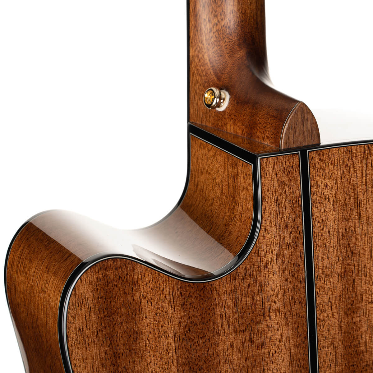 Cort Gold-DC6 – Massief Mahonie, Torrefied Sitka & Fishman Flex Blend