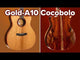 Cort Gold-A10 Cocobolo – Massief AAA Cocobolo, Torrefied Adirondack & Fishman Flex Blend