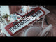 Casio CT-S200 RD Casiotone Keyboard