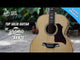 Bromo BAN7E Danali Series Jumbo acoustic guitar sollid
